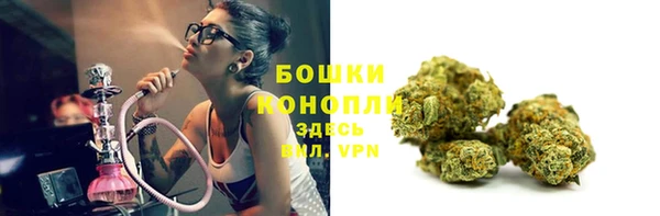 гашик Беломорск