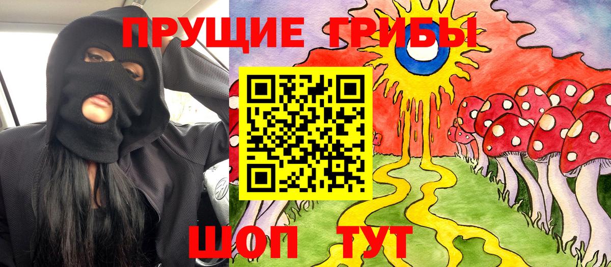 Псилоцибиновые грибы Psilocybine cubensis Дальнегорск