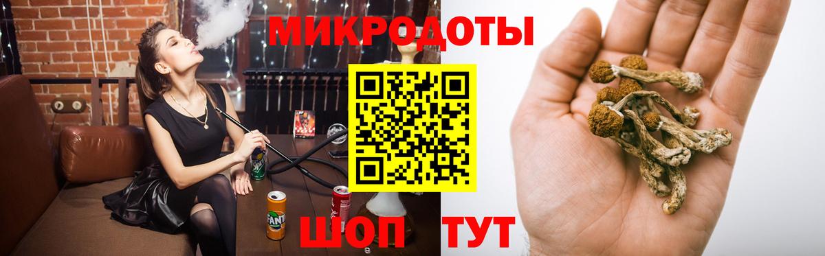 цена наркотик  Вход с VPN  Дальнегорск  Галлюциногенные грибы Psilocybe 